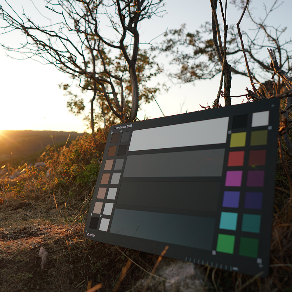 ColorChecker Video XL wykorzystany do dalszych ujęć